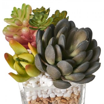 CACTUS 3/M PLASTICO 8-8-12...