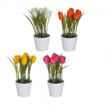 PLANTA TULIPAN 4/C 8X8X19...