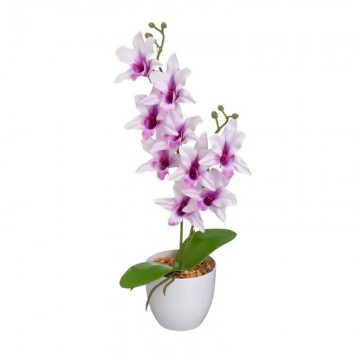 PLANTA ORQUIDEA 15X15X43...
