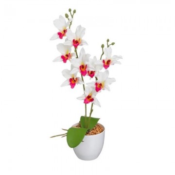 PLANTA ORQUIDEA 15X15X43...